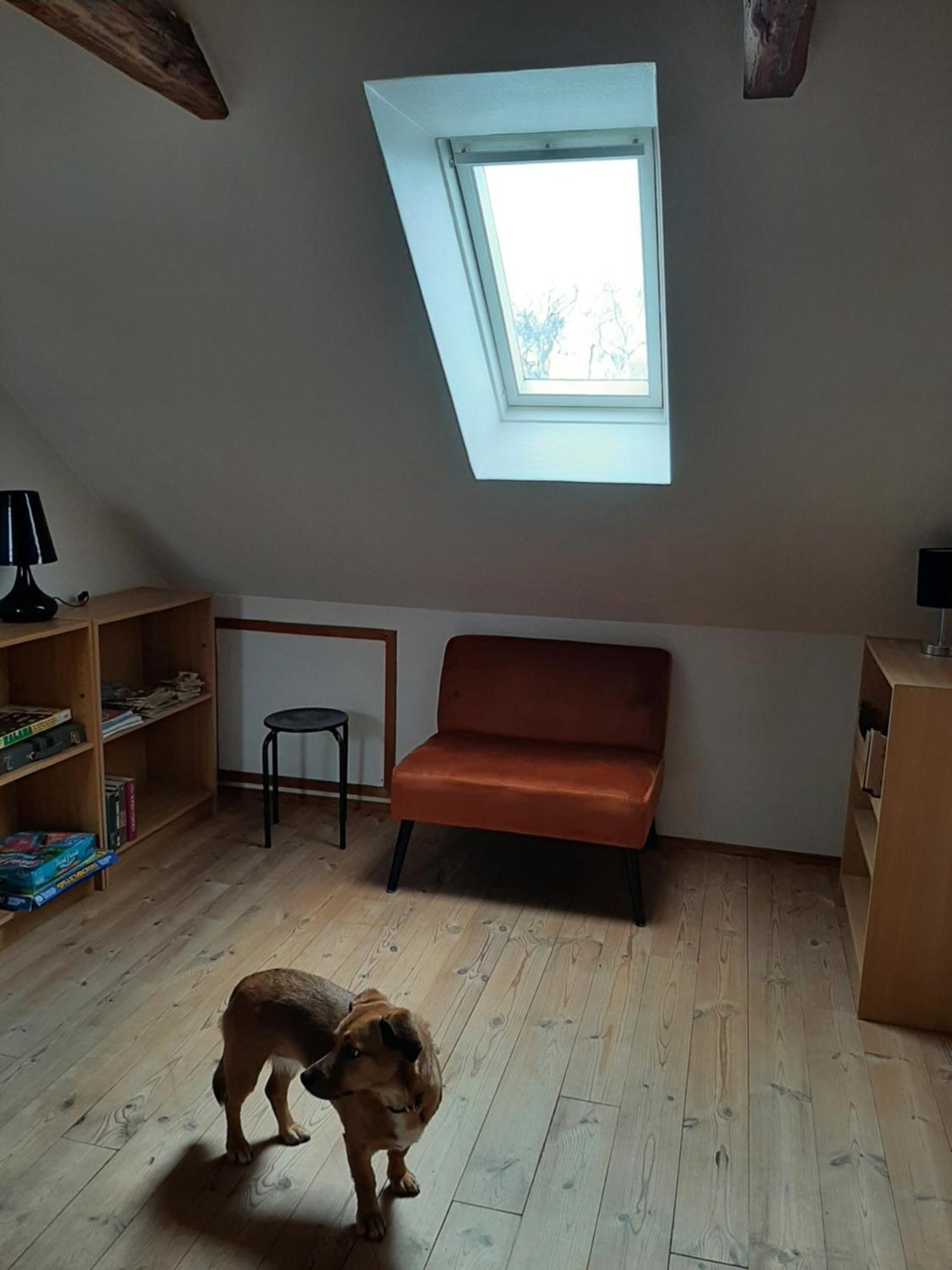Stor Villa I Lendemarke Stege Bagian luar foto
